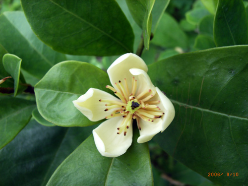 [����]��Ц��Ц