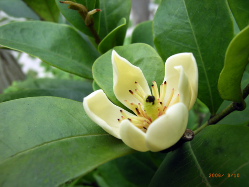 [����]��Ц��Ц