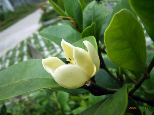 [����]��Ц��Ц