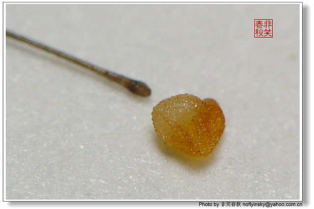 ��ѿ�������������ְ����󣺣���