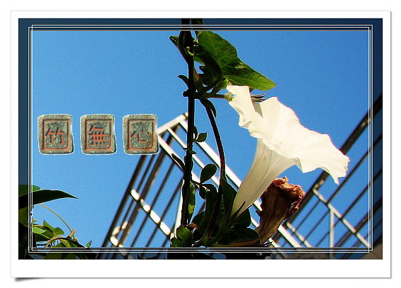 P4,ץס�����β��,������ţ...