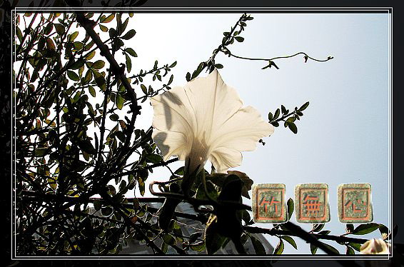 P4,ץס�����β��,������ţ...