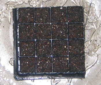 �ﲥҲ���......P13