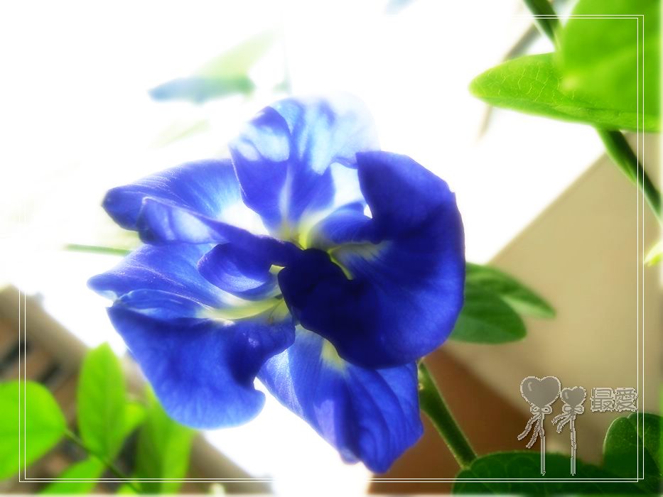 ��������ذ��������