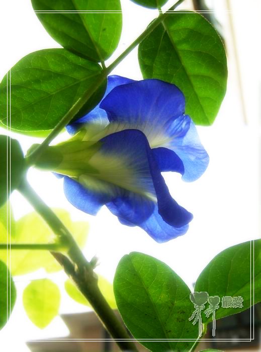 ��������ذ��������