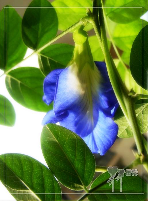 ��������ذ��������