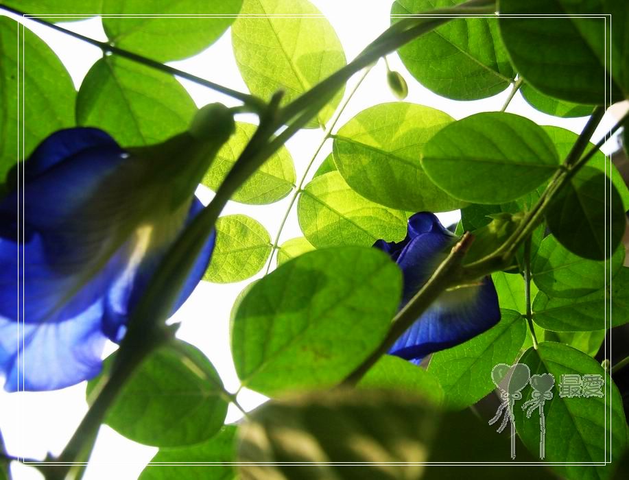 ��������ذ��������