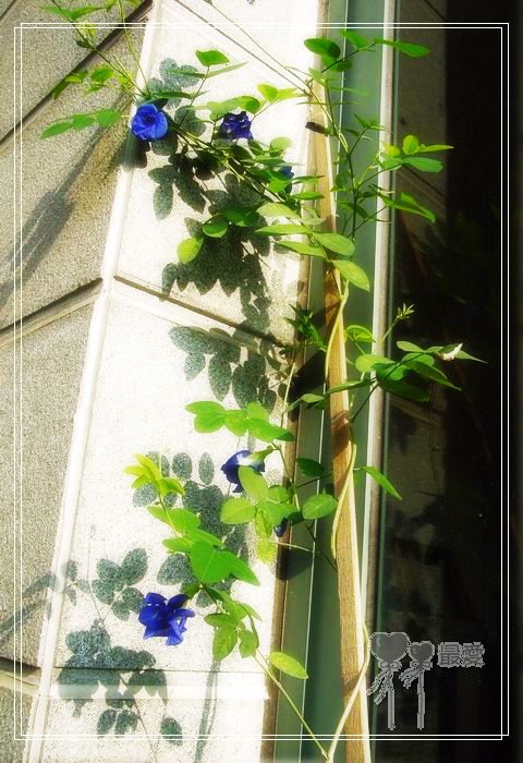 ��������ذ��������