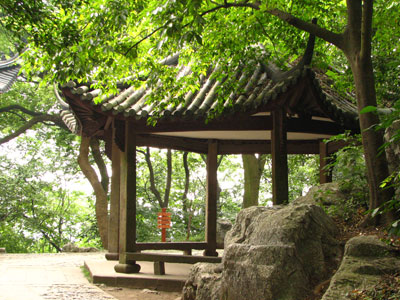 �����ҹ�