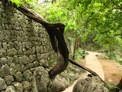 �����ҹ�