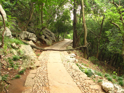 �����ҹ�