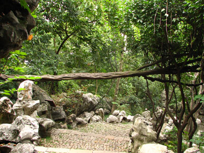 �����ҹ�