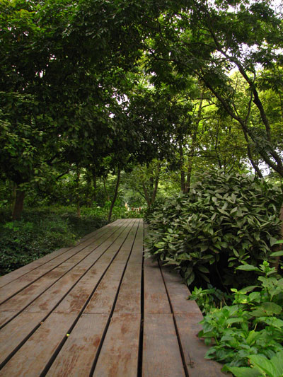 �����ҹ�