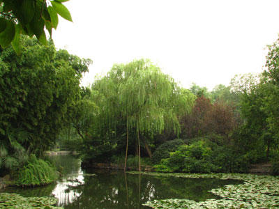 �����ҹ�