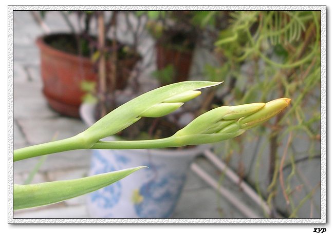 ��ɿ쿪���ˣ�yhjane��������