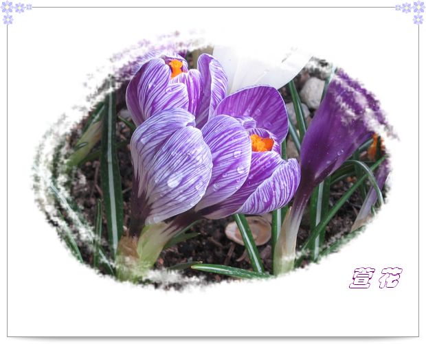 [��ˮ]�ع��ҵ����졫��