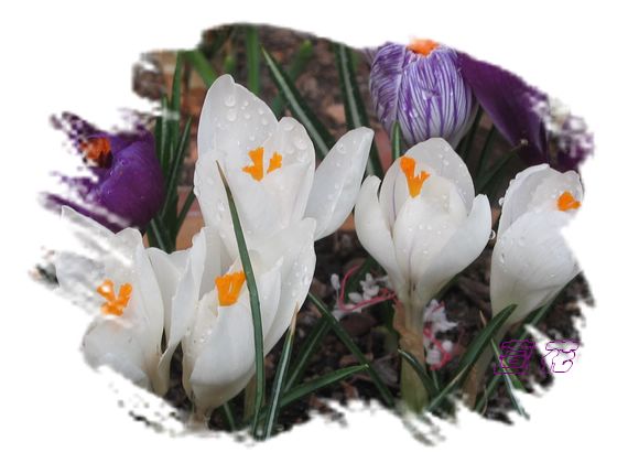 [��ˮ]�ع��ҵ����졫��