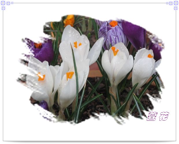 [��ˮ]�ع��ҵ����졫��