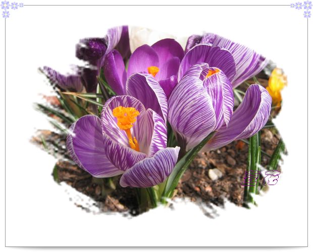 [��ˮ]�ع��ҵ����졫��