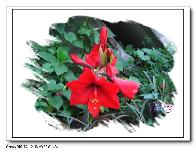 [��ˮ]�ع��ҵ����졫��