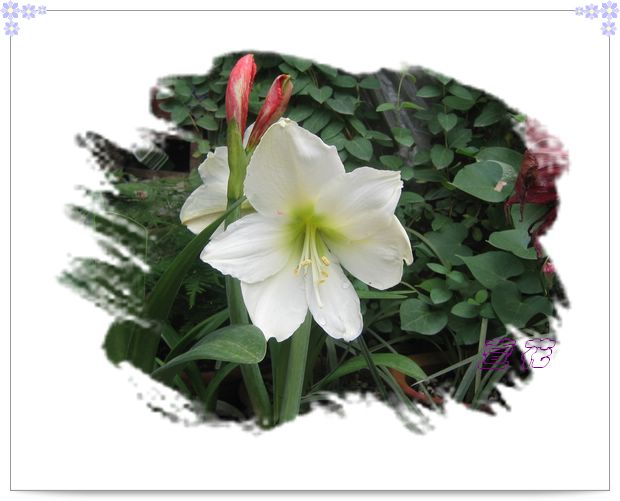 [��ˮ]�ع��ҵ����졫��