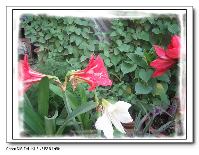 [��ˮ]�ع��ҵ����졫��