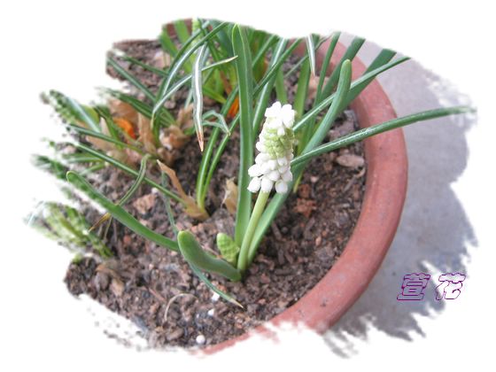 [��ˮ]�ع��ҵ����졫��