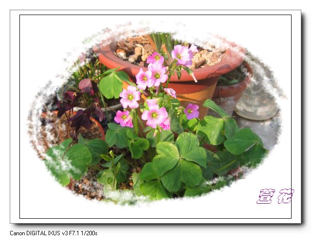 [��ˮ]�ع��ҵ����졫��