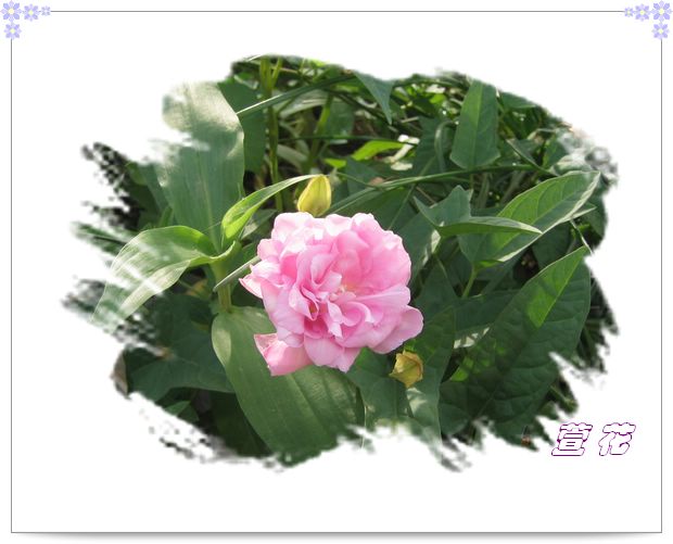 [��ˮ]�ع��ҵ����졫��