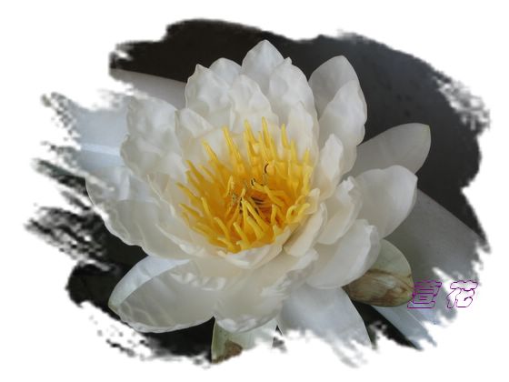 [��ˮ]�ع��ҵ����졫��