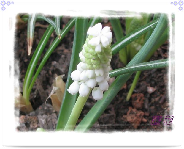 [��ˮ]�ع��ҵ����졫��