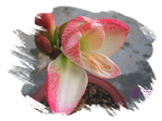 [��ˮ]�ع��ҵ����졫��