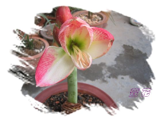 [��ˮ]�ع��ҵ����졫��