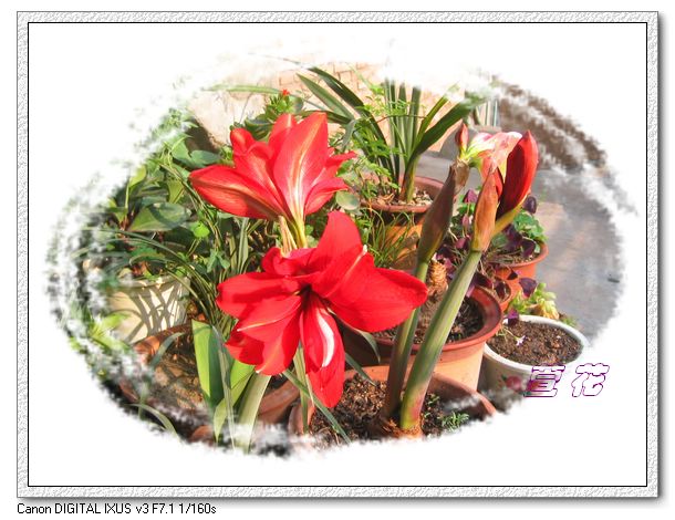 [��ˮ]�ع��ҵ����졫��