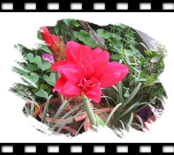 [��ˮ]�ع��ҵ����졫��