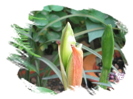 [��ˮ]�ع��ҵ����졫��