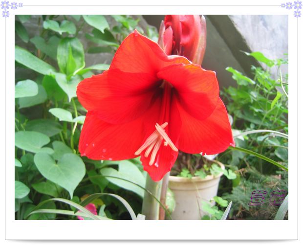 [��ˮ]�ع��ҵ����졫��