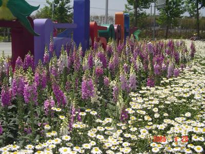 ���װ�˵ļһ���ʲô?