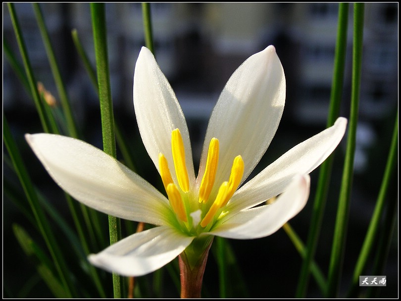 ������Ϊʲô���������������ˣ�