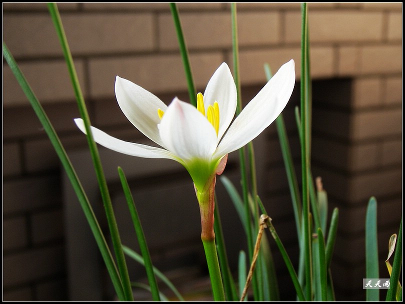 ������Ϊʲô���������������ˣ�