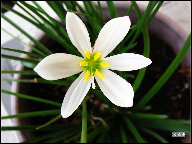 ������Ϊʲô���������������ˣ�