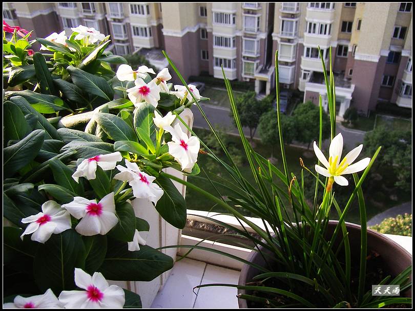 ������Ϊʲô���������������ˣ�