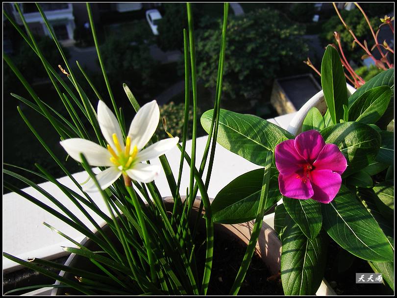 ������Ϊʲô���������������ˣ�