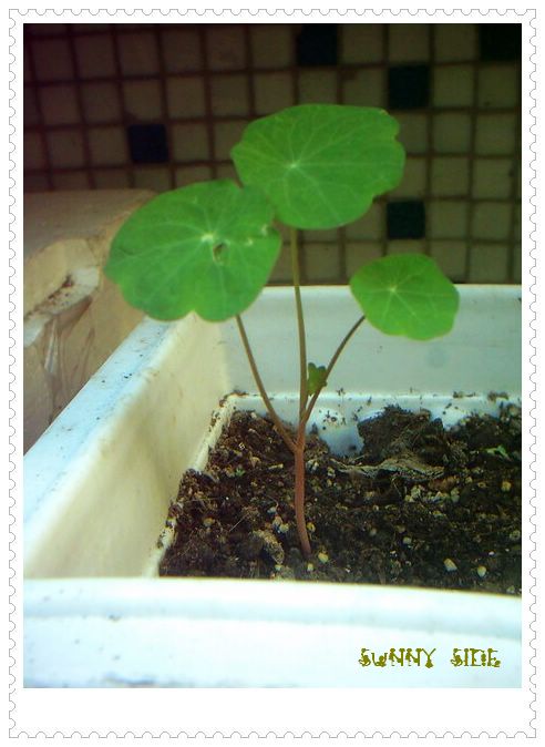 �������𣬾������£�Ը�ﲥ�ɹ�