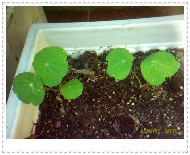 �������𣬾������£�Ը�ﲥ�ɹ�