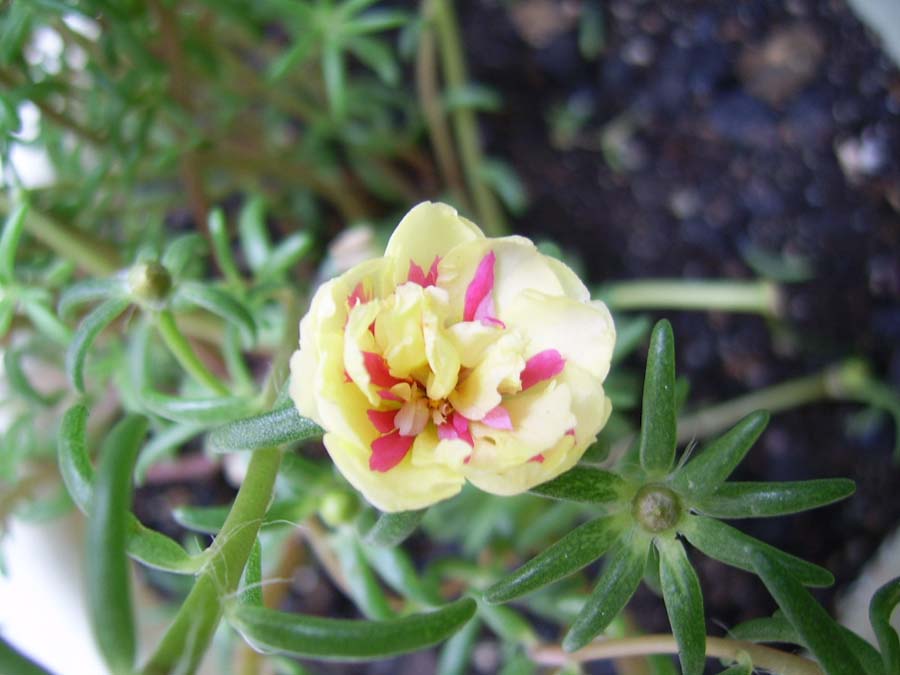 �ذ�̫��������