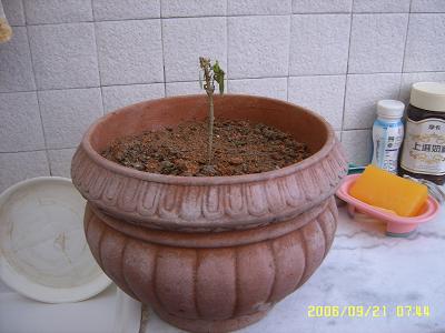 Ư�����裬��ʲô���ء����λָ��