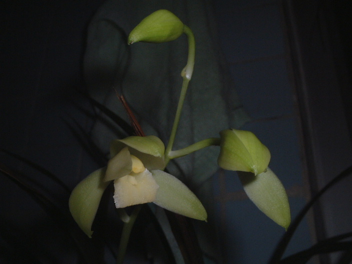 ��ѽ... .. ��Ȼ... .. ���xС؈