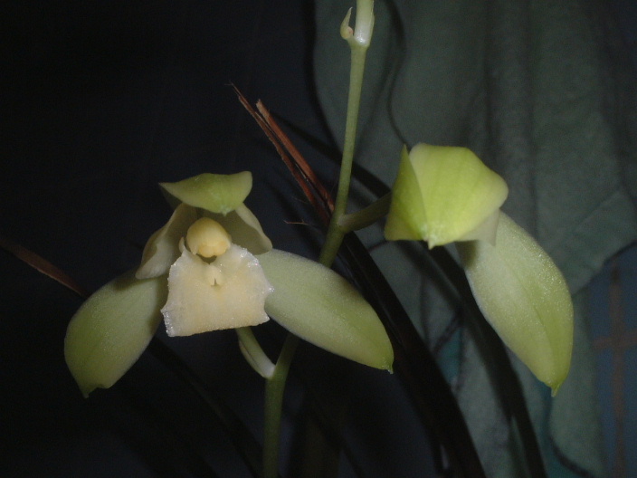 ��ѽ... .. ��Ȼ... .. ���xС؈