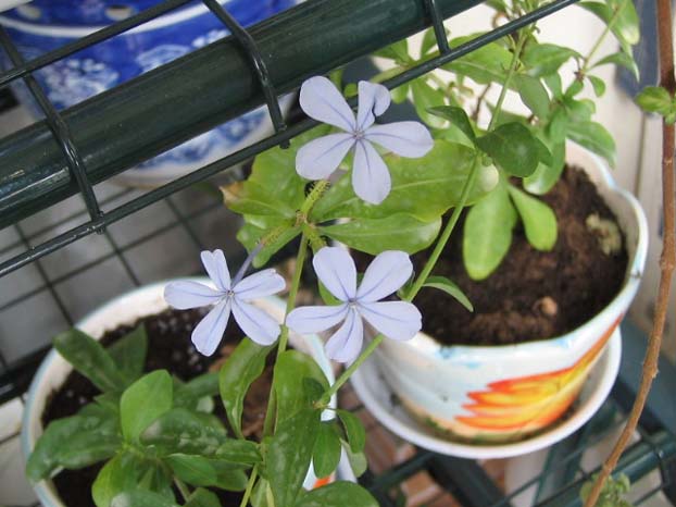 [��ͼ]��̨�����㱨